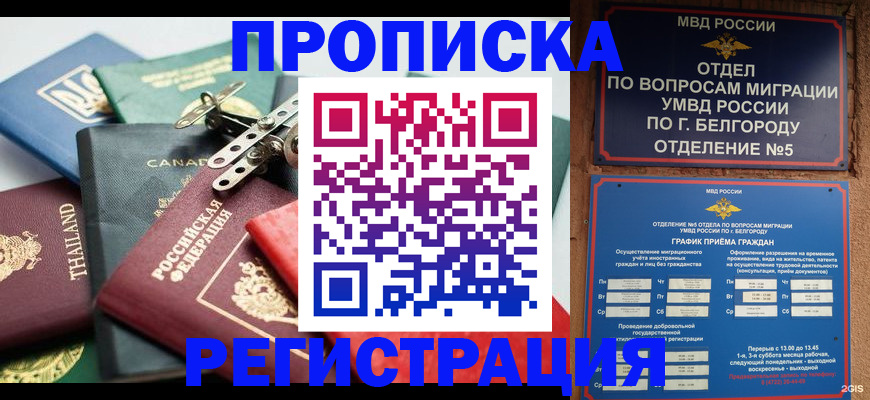временная регистрация недорого в Луге